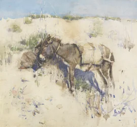 Tanger, 1887